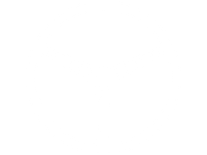 volante guida sicura